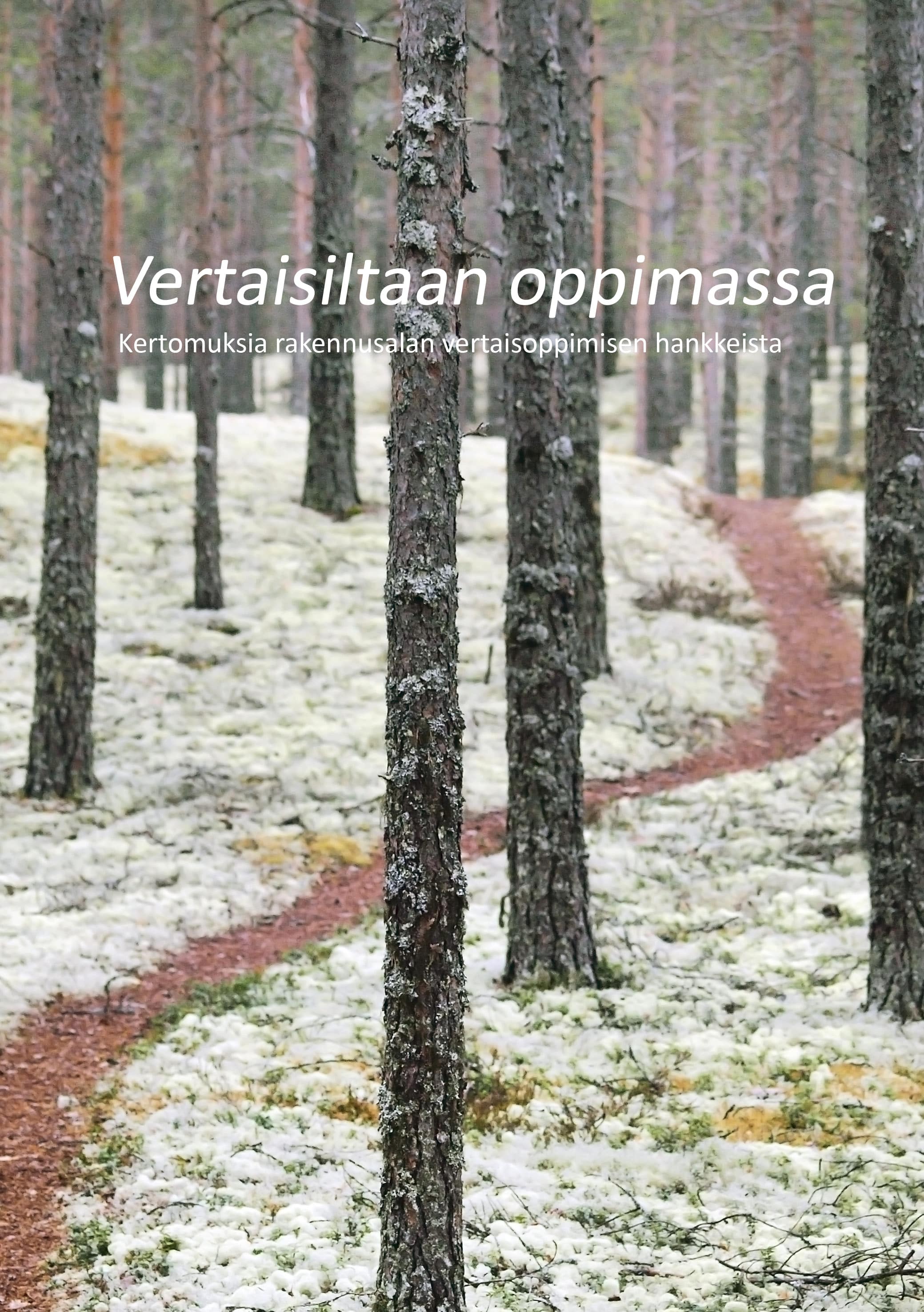 Vertaisiltaan Oppimassa Mittaviiva